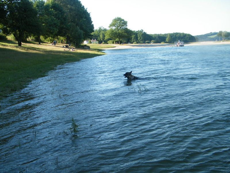 DSCF2026.jpg